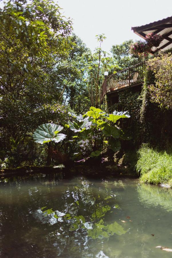 Trogon Lodge San Gerardo de Dota Εξωτερικό φωτογραφία